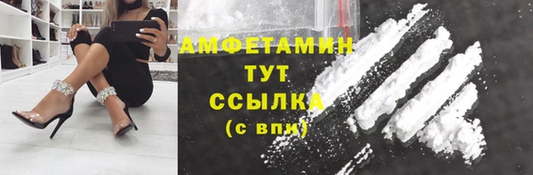 гидра Абаза