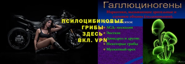 сатива Абдулино