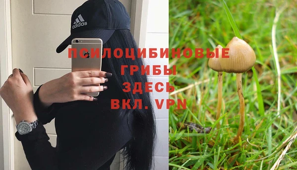 2c-b Алзамай